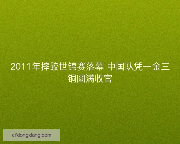 2011年摔跤世锦赛落幕 中国队凭一金三铜圆满收官