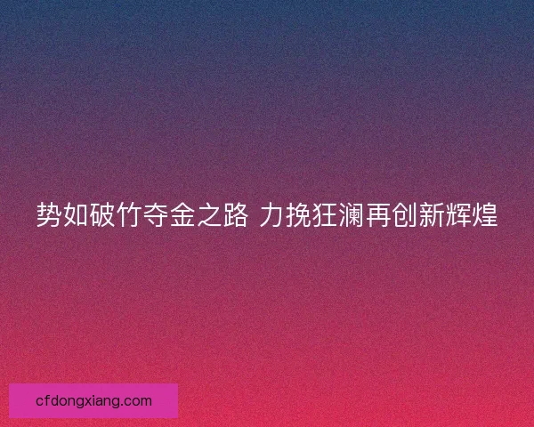 势如破竹夺金之路 力挽狂澜再创新辉煌