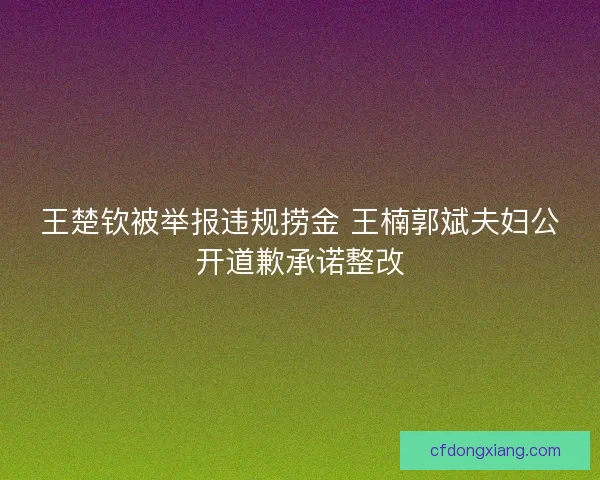 王楚钦被举报违规捞金 王楠郭斌夫妇公开道歉承诺整改
