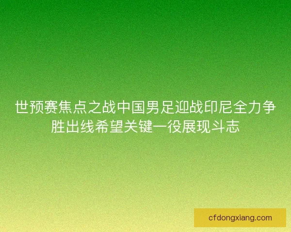 世预赛焦点之战中国男足迎战印尼全力争胜出线希望关键一役展现斗志
